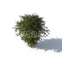 123